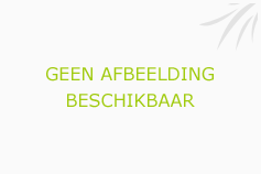 Afbeelding › Schoonheidsinstiuut Fanny